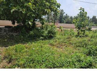 Residential Land for Sale in Trivandrum, Attingal, Attingal, Attingal