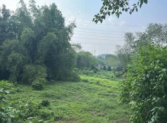 Commercial Land for Sale in Pathanamthitta, Pathanamthitta, Pathanamthitta, Town Square