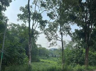 Commercial Land for Sale in Pathanamthitta, Pathanamthitta, Pathanamthitta, Town Square