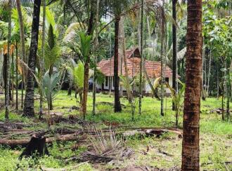 Residential Land for Sale in Alleppey, Cherthala, Perumbalam, Health center