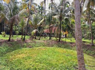 Residential Land for Sale in Alleppey, Cherthala, Perumbalam, Health center