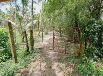 Residential Land for Sale in Alleppey, Cherthala, Perumbalam, Health center