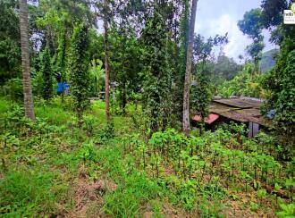 Residential Land for Sale in Idukki, Kattappana, Kattapana, Kattappana-Pezhumkavala Road.