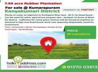Agricultural Land, Kanyakumari
