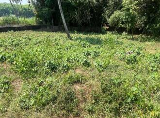 Residential Land for Sale in Pathanamthitta, Thiruvalla, Pullad, Bharat Petroleum, Petrol Pump - Madolil Fuel pullad thiruvalla East