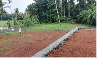 Residential Land for Sale in Pathanamthitta, Thiruvalla, Pullad, Bharat Petroleum, Petrol Pump - Madolil Fuel pullad thiruvalla East