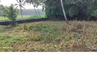 Residential Land for Sale in Pathanamthitta, Thiruvalla, Pullad, Bharat Petroleum, Petrol Pump - Madolil Fuel pullad thiruvalla East