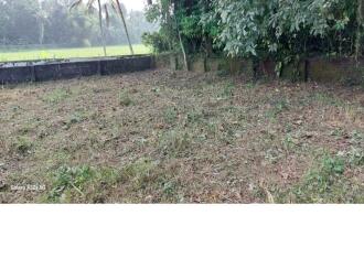 Residential Land for Sale in Pathanamthitta, Thiruvalla, Pullad, Bharat Petroleum, Petrol Pump - Madolil Fuel pullad thiruvalla East