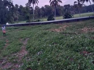 Residential Land for Sale in Pathanamthitta, Thiruvalla, Pullad, Bharat Petroleum, Petrol Pump - Madolil Fuel pullad thiruvalla East