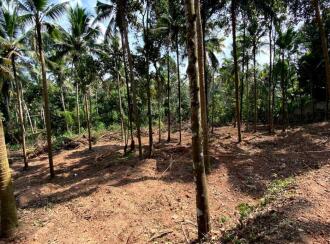Residential Land for SaleTrivandrum, Sreekariyam, Sreekariyam