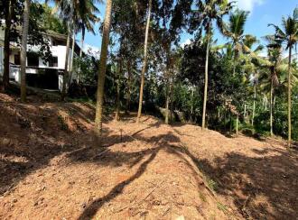Residential Land for Sale in Trivandrum, Sreekariyam, Sreekariyam, Gandhipuram Chilambil Lane