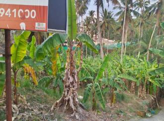 Residential Land for Sale in Trivandrum, Kazhakoottam, Poudikkonam