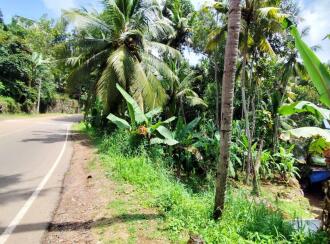 Residential Land for Sale in Trivandrum, Kazhakoottam, Poudikkonam