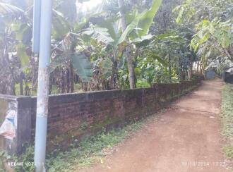 വാസയോഗ്യമായ ഭൂമി വില്പനയ്ക്ക് Kollam, Kottarakkara, Neduvathoor, neduvathur cashew factory jn.