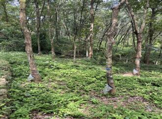 Agricultural Land for Sale in Pathanamthitta, Omalloor, Omalloor, Puthenpeedika