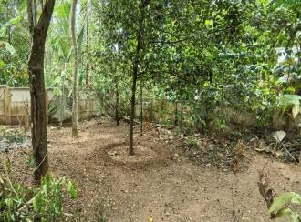 വാസയോഗ്യമായ വീട് വില്പനയ്ക്ക് Thrissur, Irinjalakuda, Kizhuthani, Porthissery road