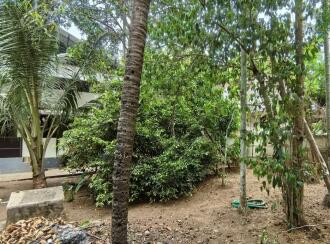 വാസയോഗ്യമായ വീട് വില്പനയ്ക്ക് Thrissur, Irinjalakuda, Kizhuthani, Porthissery road