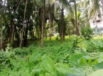 Commercial Land for Sale in Alleppey, Chengannur, Chengannur town, Devi Pump Station in Chengannur