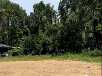 Residential Land for Sale in Thrissur, Kodungallur, Mathilakam, Pappinivattam Cooperative Bank.