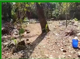 Residential Land for Sale in Kottayam, Changanassery, Paippad, https://maps.app.goo.gl/QNxDmR43pEEx2TqA7?g_st=aw