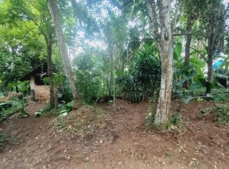 Residential House Villa for Sale in Ernakulam, Puthencruz, Puthencruz, Puthencruz