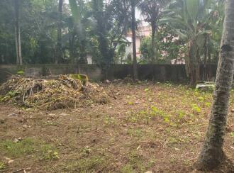 Residential Land for Sale in Pathanamthitta, Thiruvalla, Kattukara, Kattukara