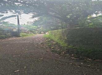 Residential Land for Sale in Pathanamthitta, Thiruvalla, Kattukara, Kattukara