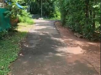 Commercial Building for Sale in Thrissur, Irinjalakuda, Irinjalakuda, porathusseri
