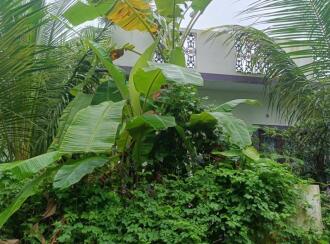 Residential House Villa for Sale in Thrissur, Irinjalakuda, Irinjalakuda, porathusseri