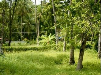 Residential Land for Sale in Malappuram, Ponnani, Chamravattam, NH 66