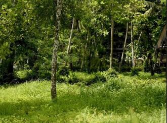 Residential Land for Sale in Malappuram, Ponnani, Chamravattam, NH 66