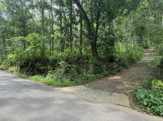 Residential Land for Sale in Pathanamthitta, Ranni, Nellikkamon