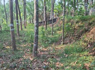 Agricultural Land for Sale in Kottayam, Pala, Kidangoor