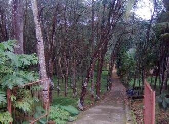 Agricultural Land for Sale in Kottayam, Pala, Kidangoor
