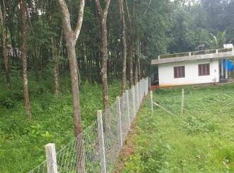 Agricultural Land for Sale in Kottayam, Pala, Kidangoor