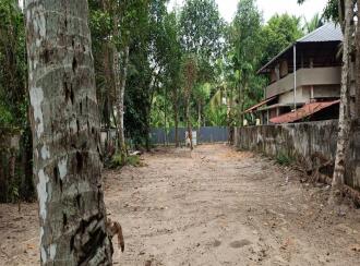 Residential Land for Sale in Alleppey, Mavelikara, Chettikulangara, Close to: Hospitals - SKP, VSM. Schools - Vidyadhiraja Central School & Sainik School. Supermarkets - Sushreema, GS Mart. Temple - Chettikulangara Devi