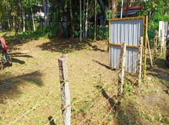 Residential Land for Sale in Alleppey, Mavelikara, Chettikulangara, Close to: Hospitals - SKP, VSM. Schools - Vidyadhiraja Central School & Sainik School. Supermarkets - Sushreema, GS Mart. Temple - Chettikulangara Devi