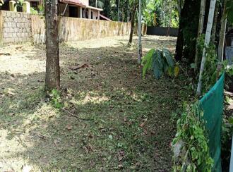 Residential Land for Sale in Alleppey, Mavelikara, Chettikulangara, Close to: Hospitals - SKP, VSM. Schools - Vidyadhiraja Central School & Sainik School. Supermarkets - Sushreema, GS Mart. Temple - Chettikulangara Devi