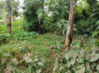 Residential Land for Sale in Ernakulam, Koothattukulam, Koothattukulam town