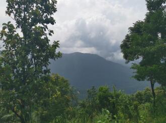 Residential Other for Sale in Idukki, Kuttikanam, Panchalimedu, Kanayankavayal