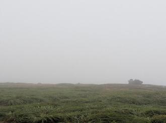 Residential Land for Sale in Trivandrum, Ponmudi, Kallar