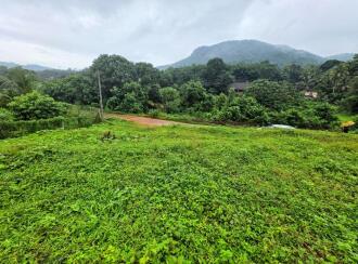 Residential Land for Sale in Idukki, Thodupuzha, Kudayathoor