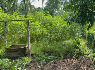 Residential Land for Sale in Alleppey, Chengannur, Ennakkad, Near Panchayath Office Ennakkadu