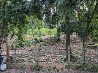 Residential Land for Sale in Alleppey, Chengannur, Ennakkad, Near Panchayath Office Ennakkadu
