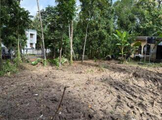 Residential Land for Sale in Alleppey, Chengannur, Ennakkad, Near Panchayath Office Ennakkadu