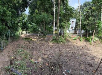 Residential Land for Sale in Alleppey, Chengannur, Ennakkad, Near Panchayath Office Ennakkadu