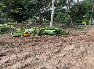 Residential Land for Sale in Alleppey, Chengannur, Ennakkad, Near Panchayath Office Ennakkadu