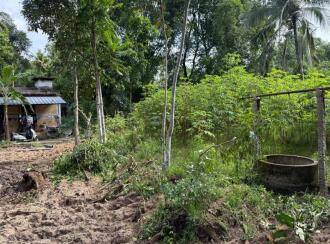 Residential Land for Sale in Alleppey, Chengannur, Ennakkad, Near Panchayath Office Ennakkadu