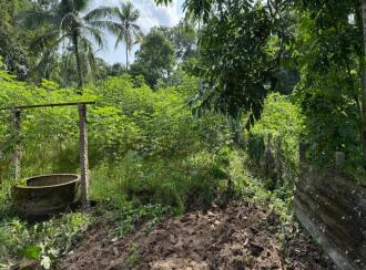 Residential Land for Sale in Alleppey, Chengannur, Ennakkad, Near Panchayath Office Ennakkadu