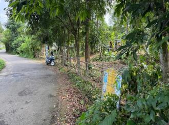 Residential Land for Sale in Alleppey, Chengannur, Ennakkad, Near Panchayath Office Ennakkadu